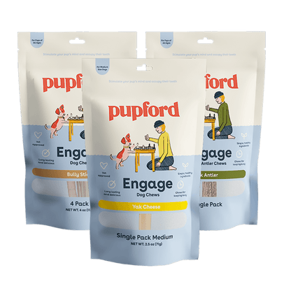 New_Chew-Tasty-Pack-Medium | Pupford