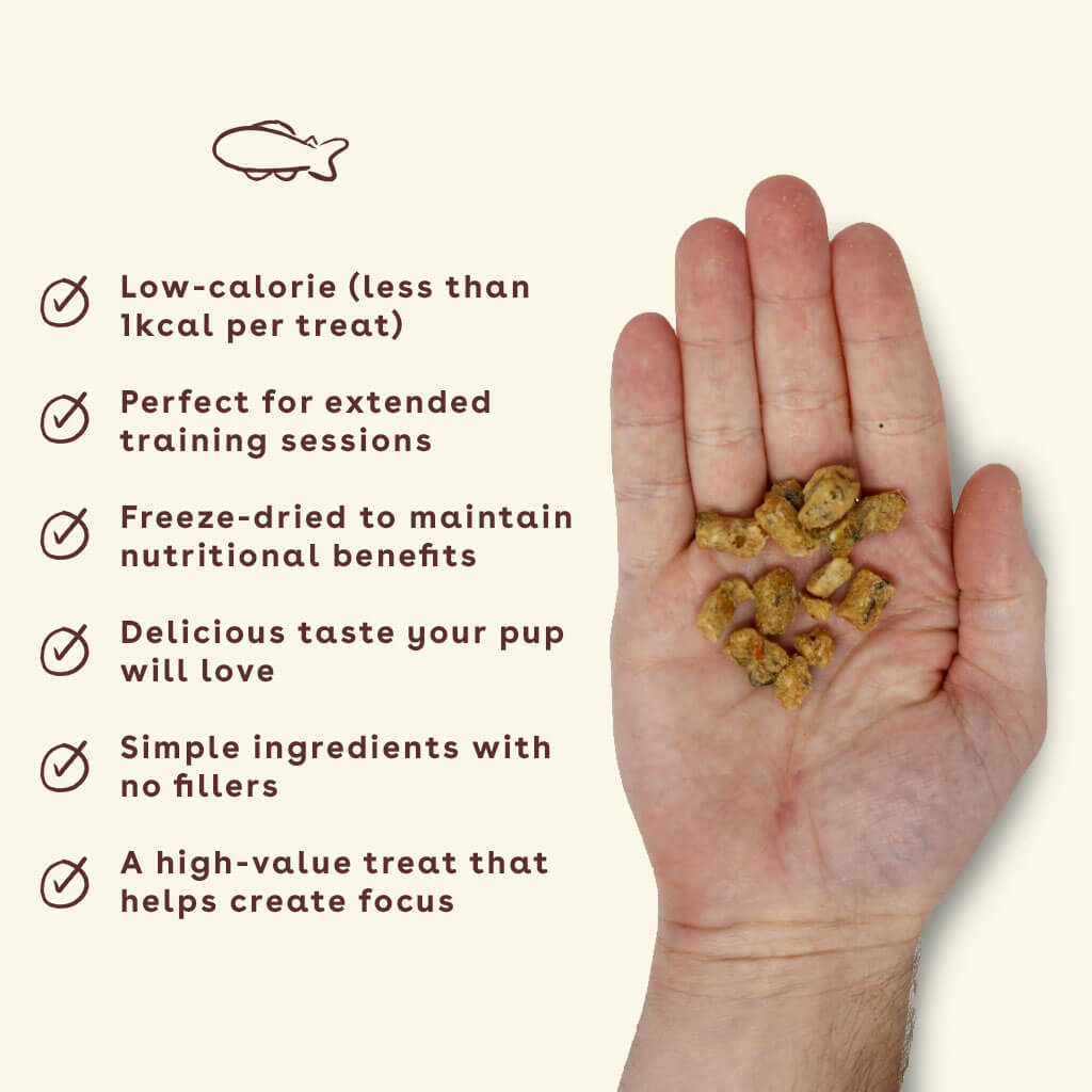 New_Salmon-treats-in-hand-with-benefits | Pupford