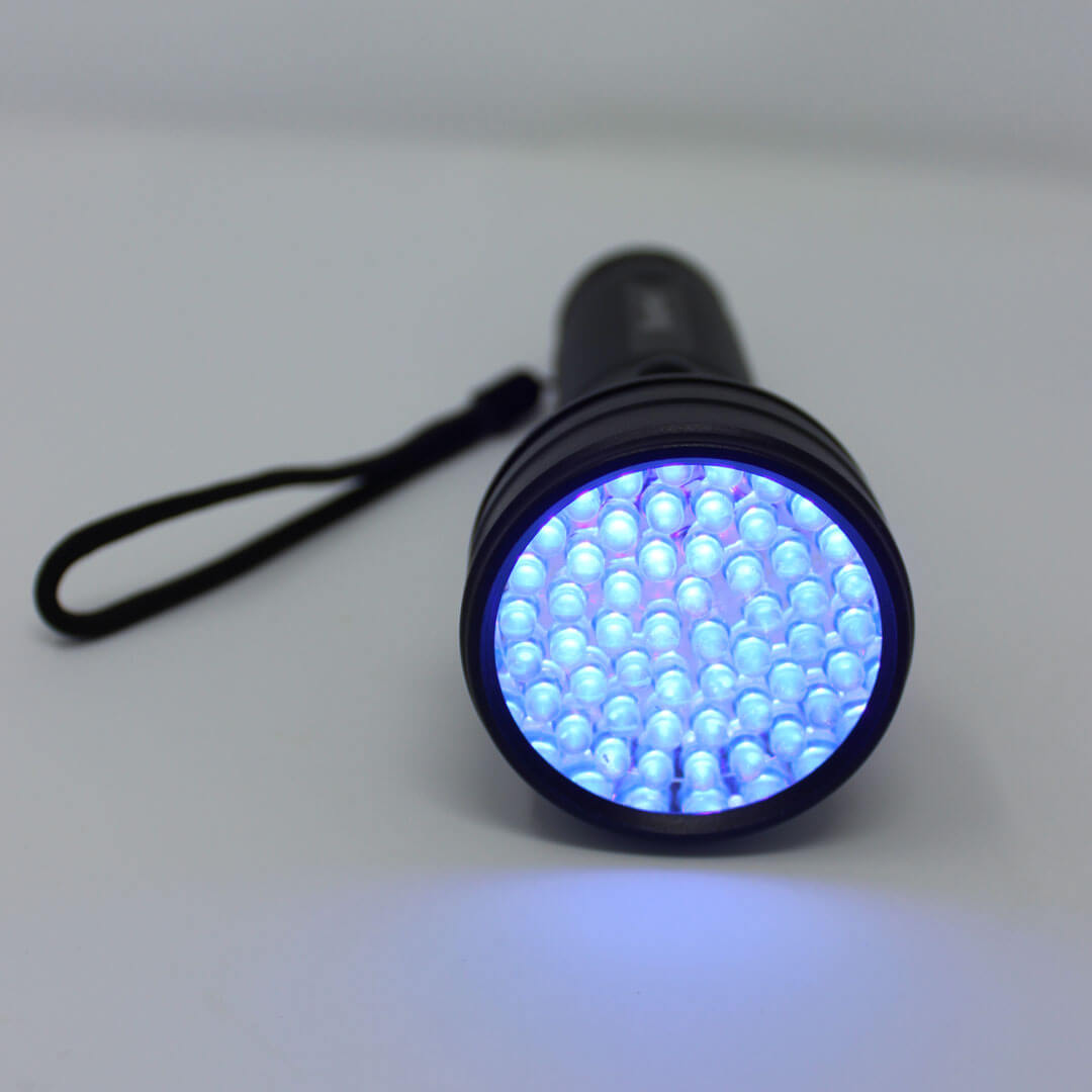 Black-Light-On | Pupford 