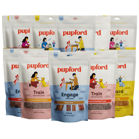 puppy and small dog great pack