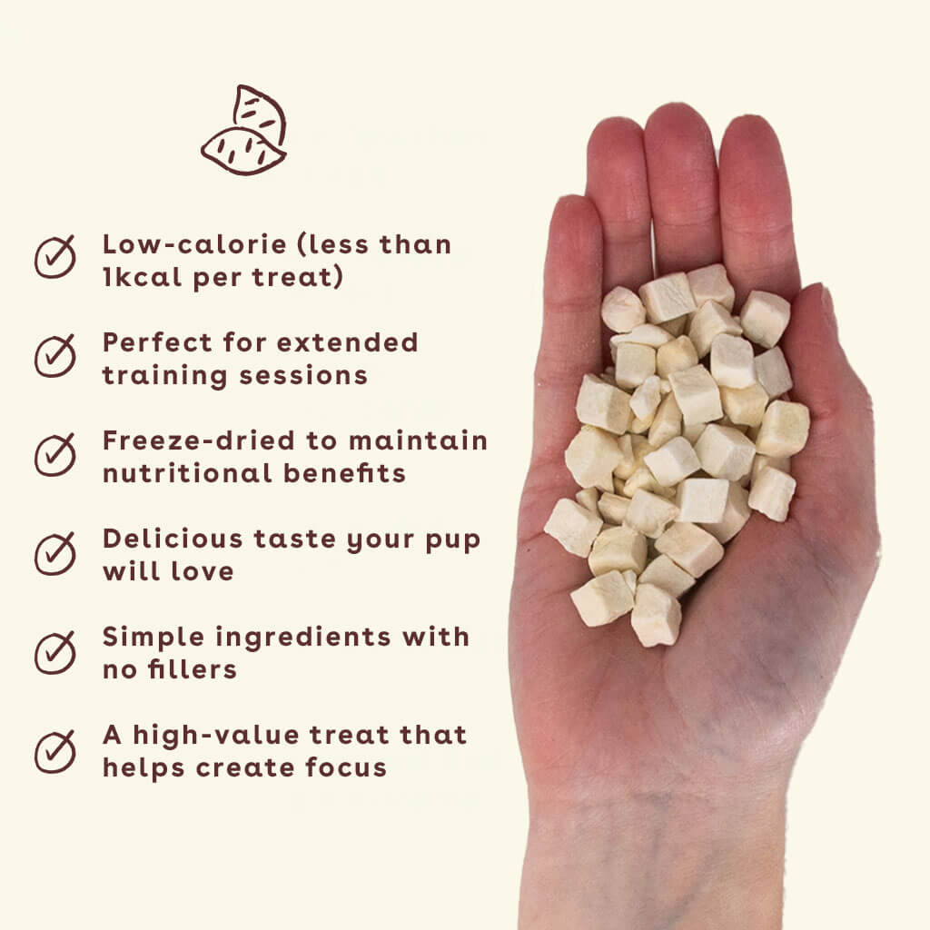 NEW_sweet-potato-treats-in-hand-with-benefits