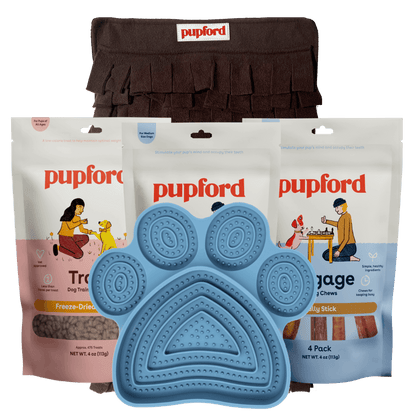 puppy and small dog time alone pack dog