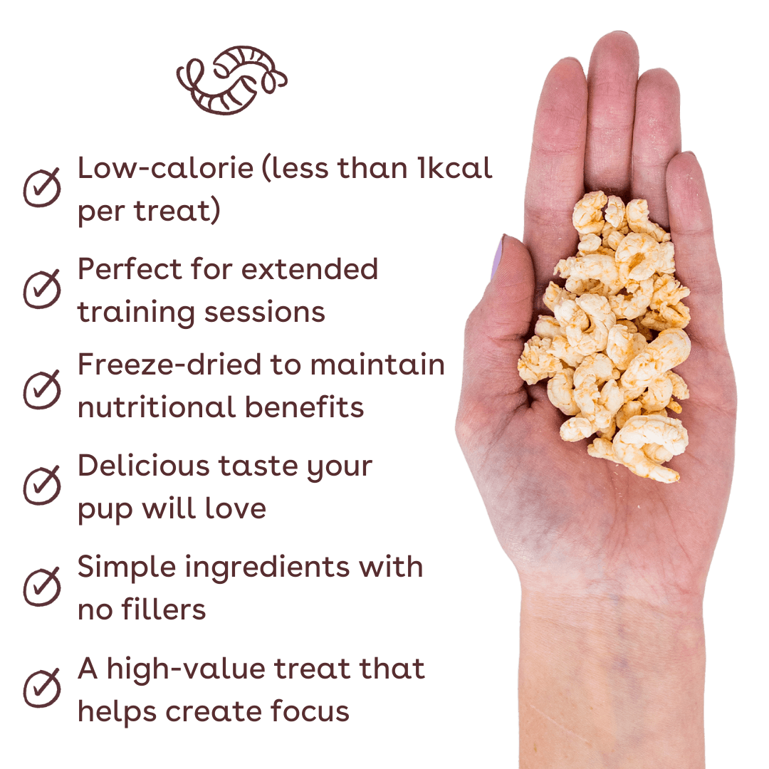shrimp training treats benefits (2)