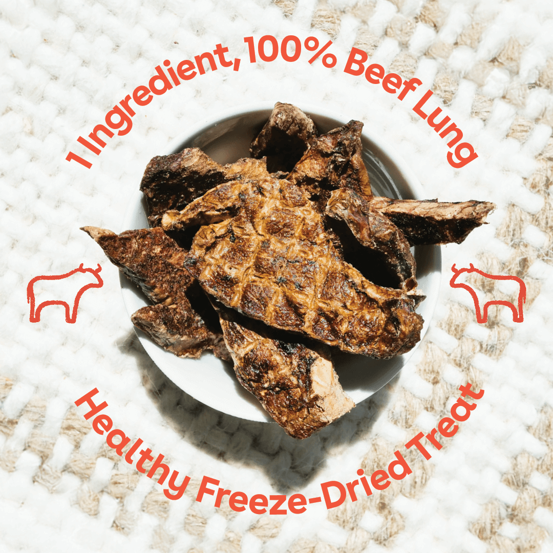 steak strips 3