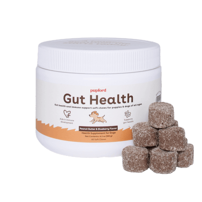 Gut Health Supplement for Puppies | Pupford