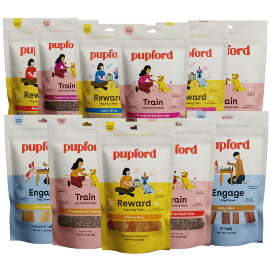 puppy and small dog woof pack