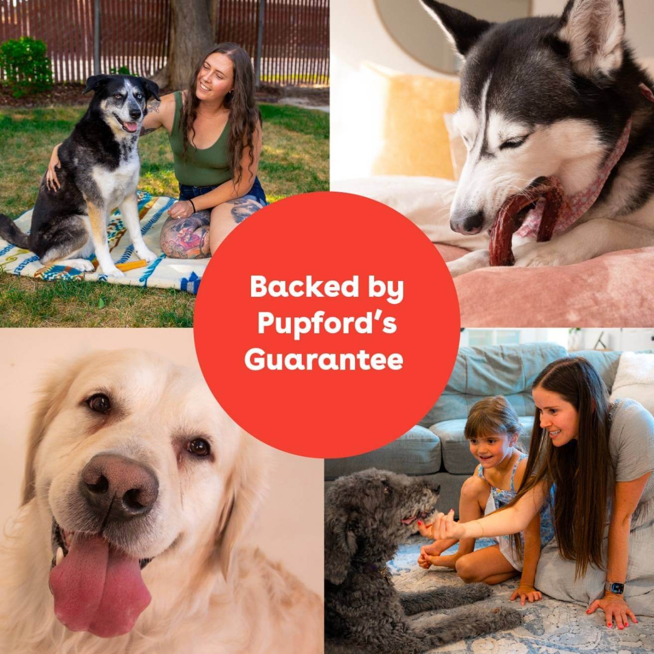 backed by pupford guarantee | Pupford