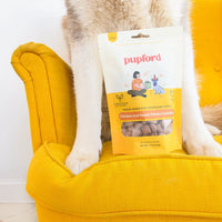 bag of chicken and sweet potato crunchies treats next to a dog sitting on a yellow chair | Pupford