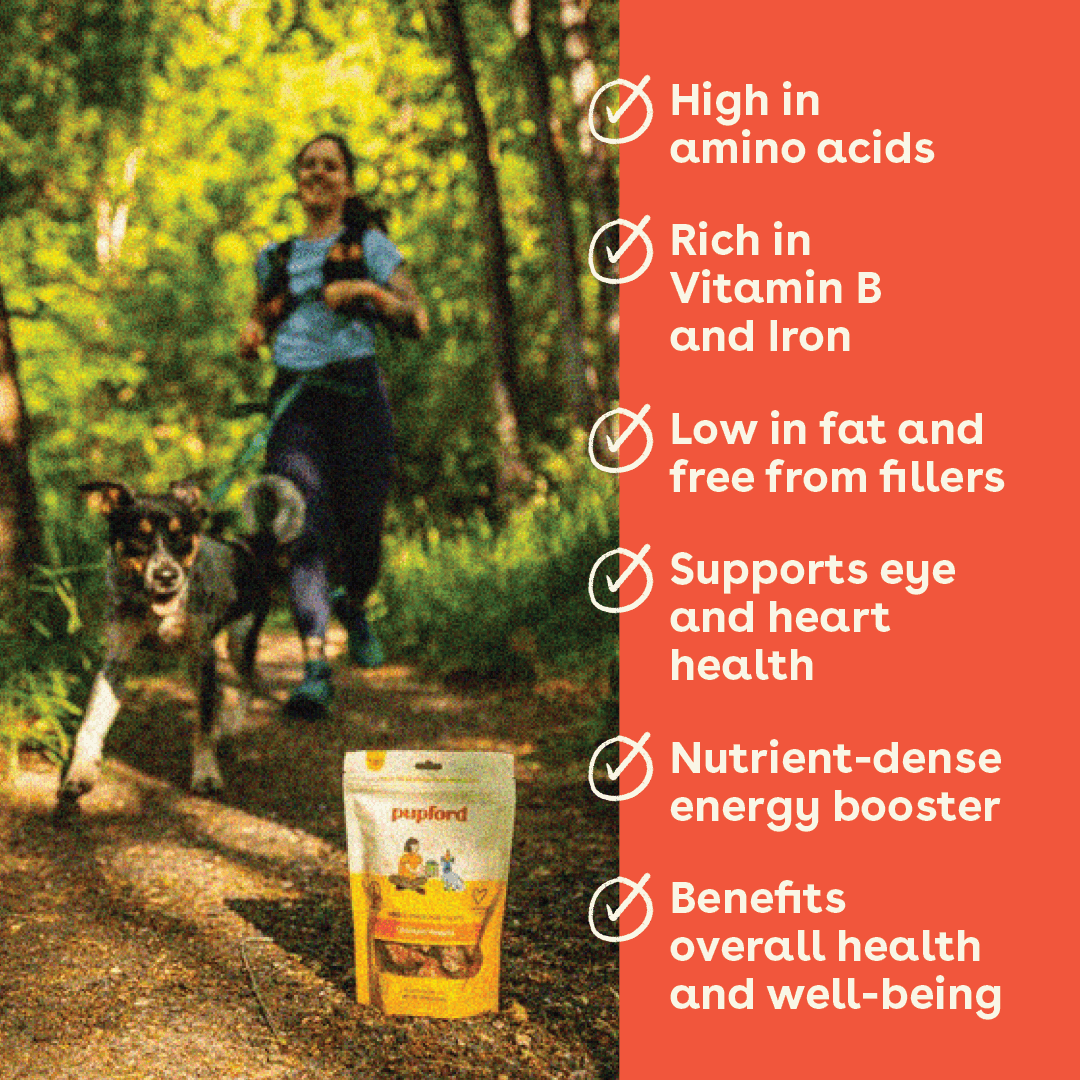 benefits of chicken hearts for dogs including high in amino acids, vitamin b, low in fat, and supports eye and heart health | Pupford