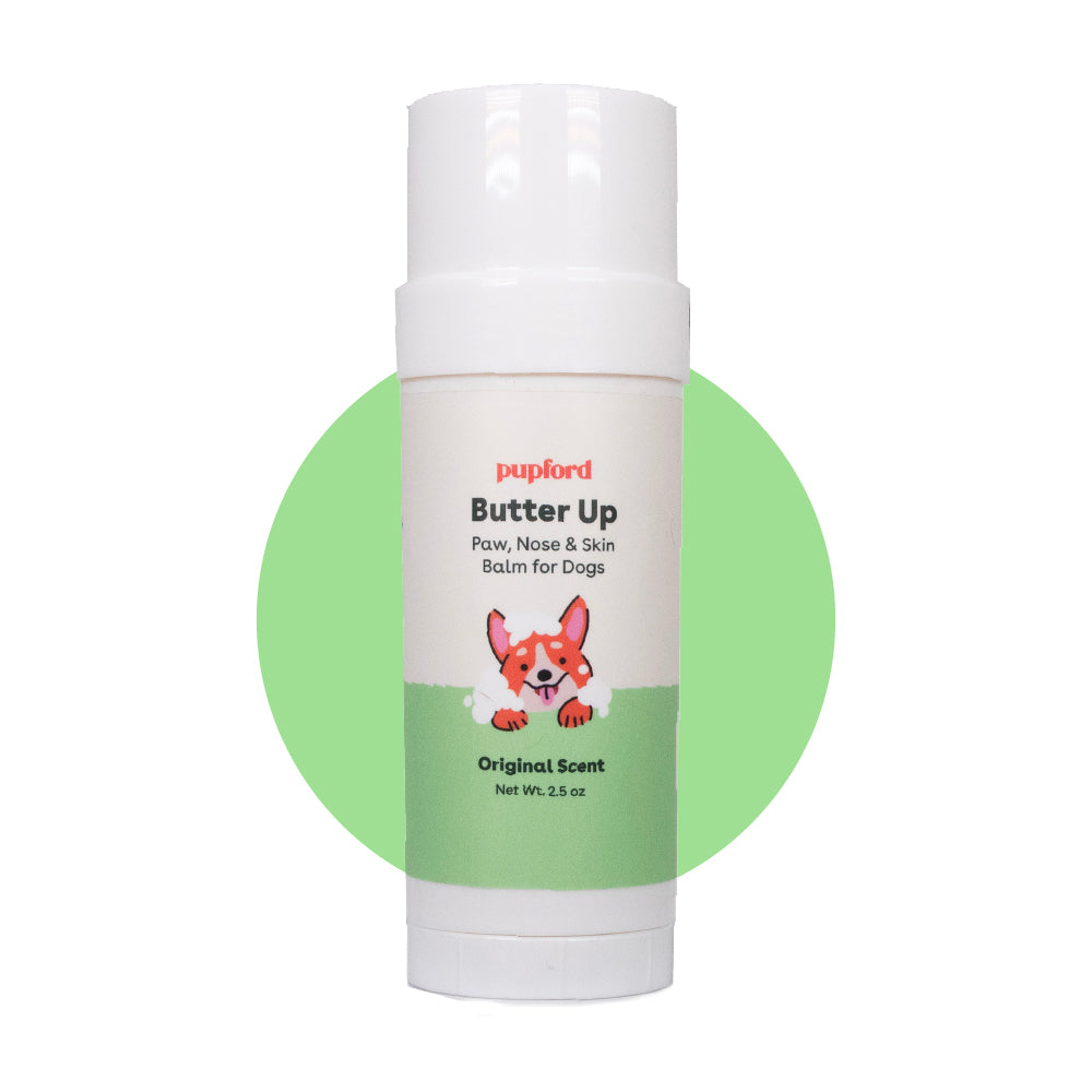 butter up paw balm tube on a green circle background | Pupford