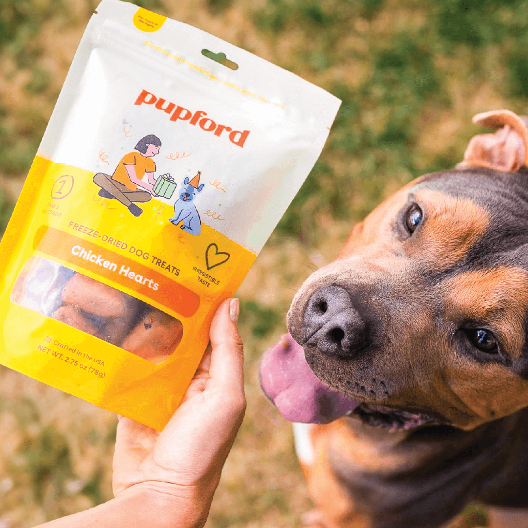 chicken heart treats in a bag with a dog look at them | Pupford