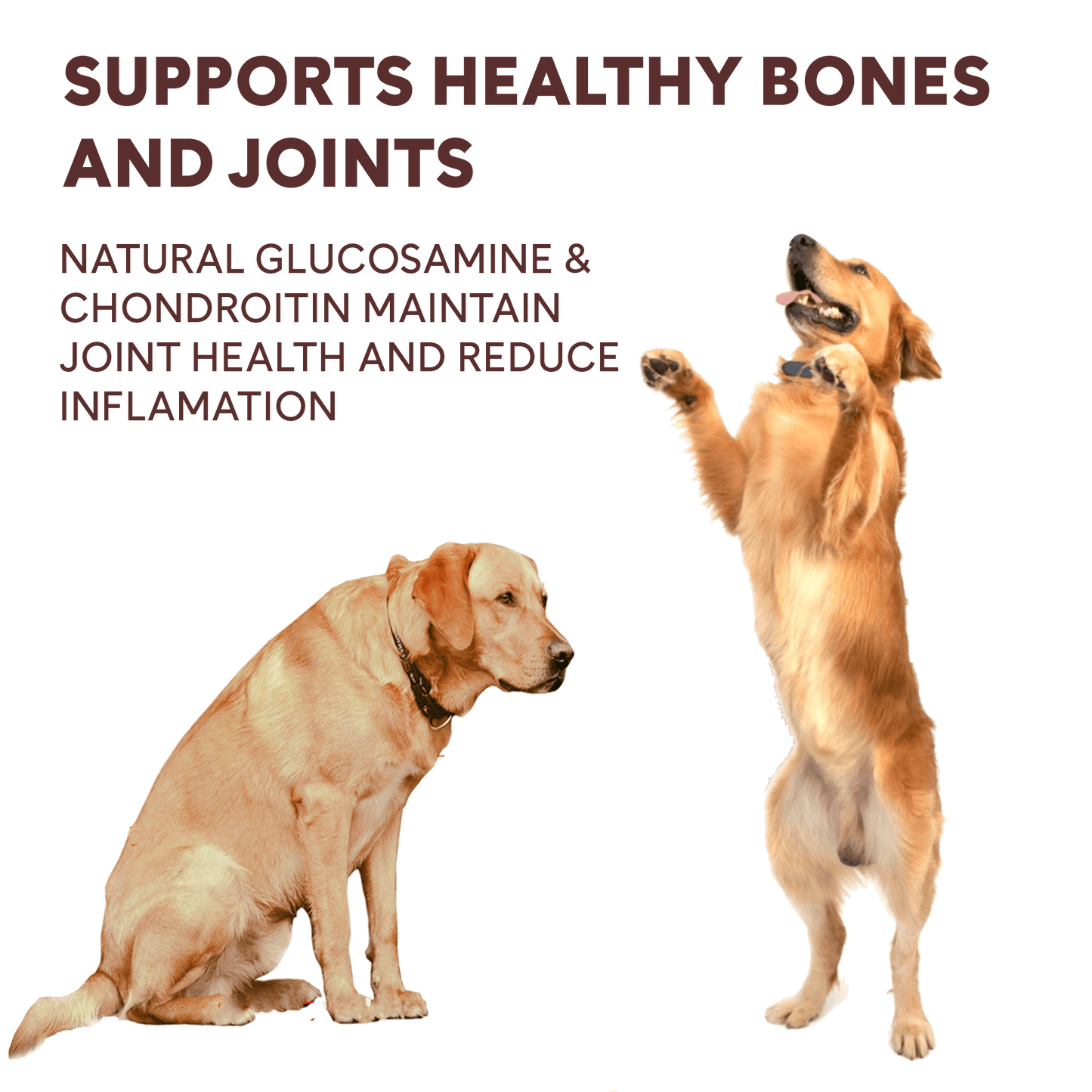 chicken jerky helps support healthy bones and joints | Pupford