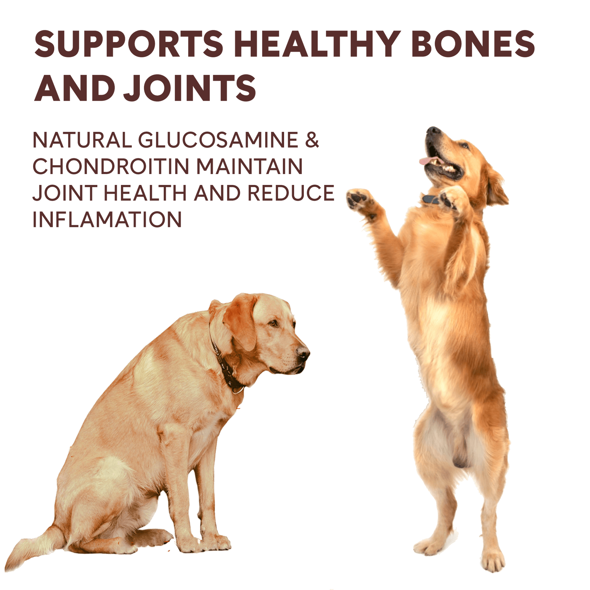 chicken jerky helps support healthy bones and joints | Pupford