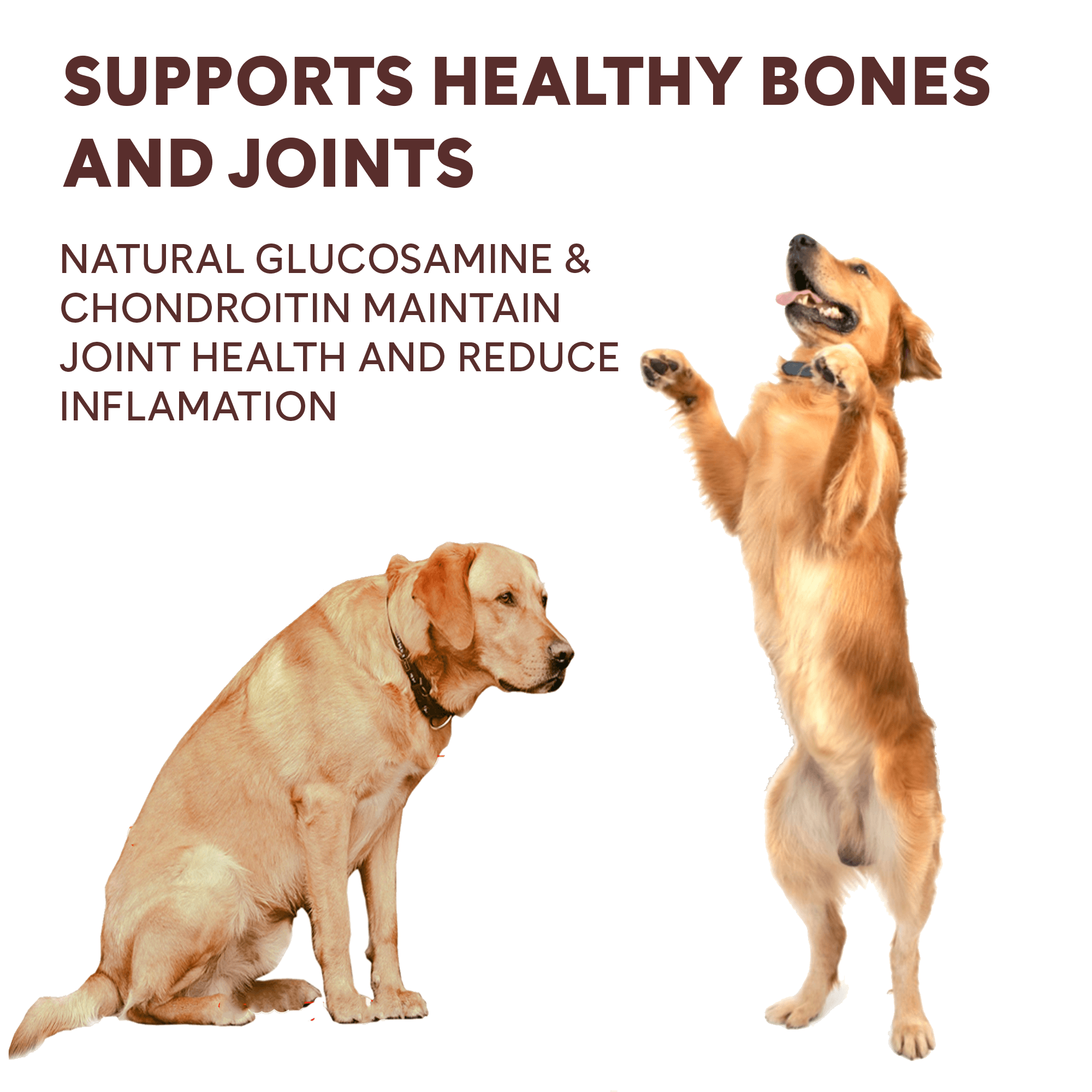 chicken jerky helps support healthy bones and joints | Pupford
