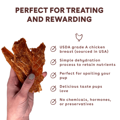chicken jerky in a hand with benefits like delicious flavor and usda grde a chicken breast sourced in the usa | Pupford