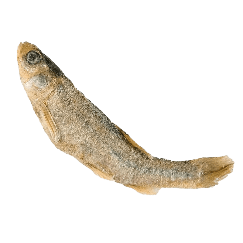 Freeze Dried Minnows Nutritional facts image