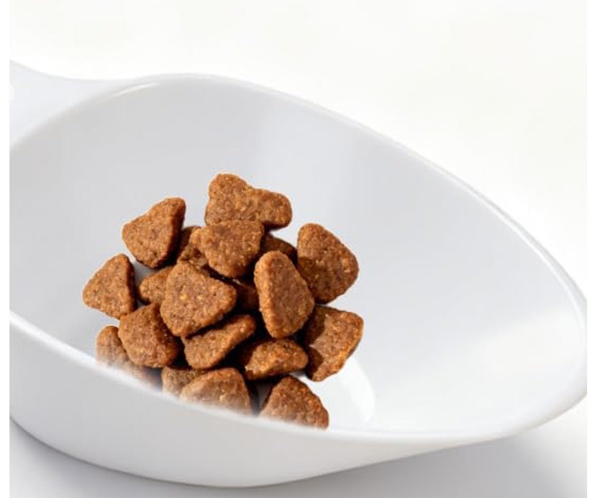 Cream white 1 cup dog food scoop with dog food