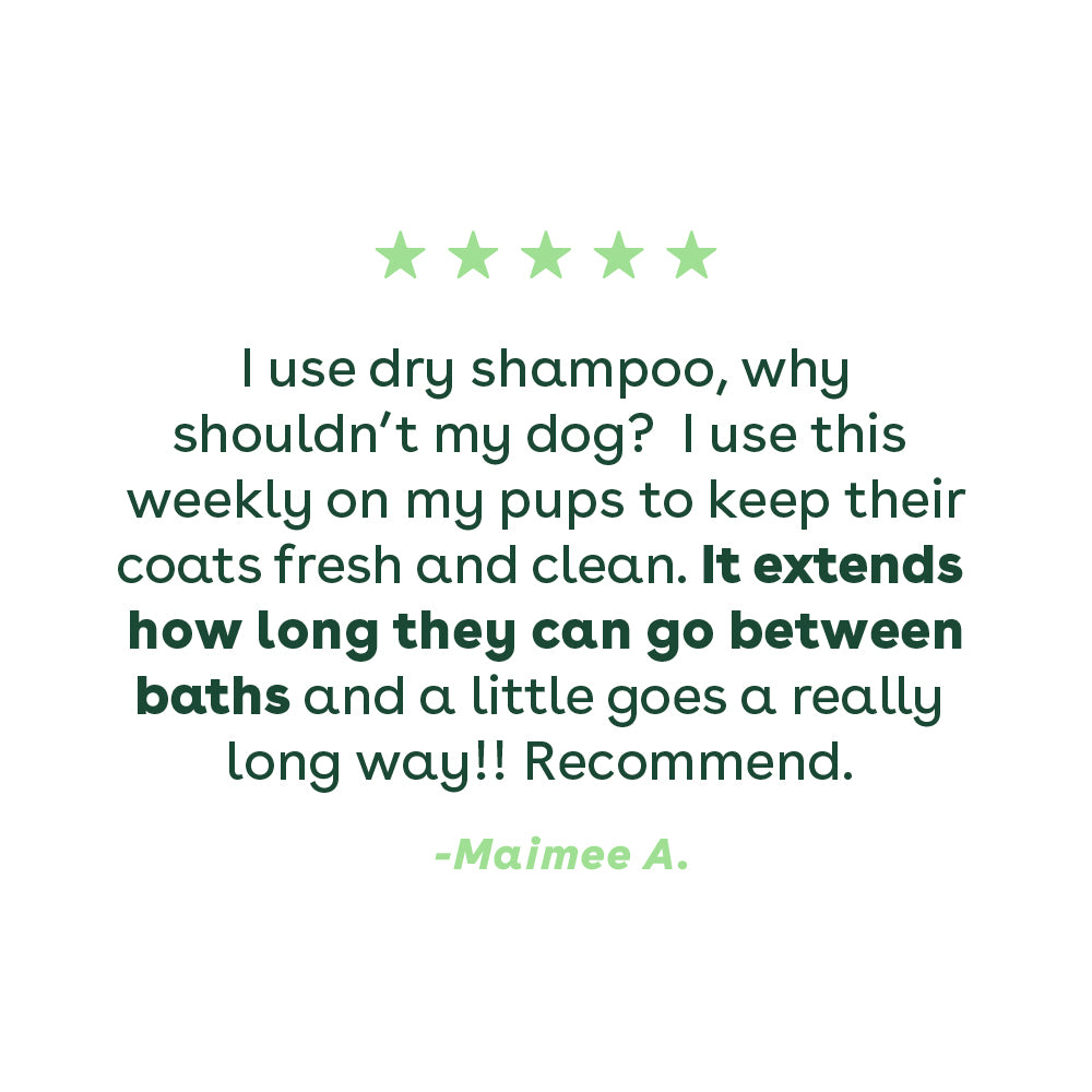 customer review of pupford dry shampoo powder | Pupford