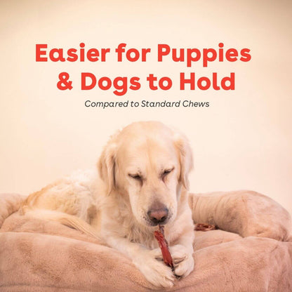 dog chewing a bully ring with the text 'easier for puppies and dogs to hold compared to standard chews' | Pupford