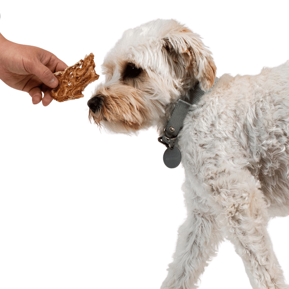 Crunchy Lamb Jerky Treats Image