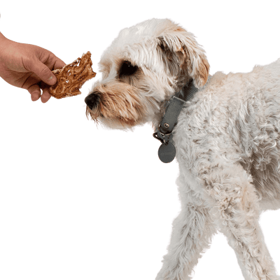 Crunchy Lamb Jerky Treats - Descripción
