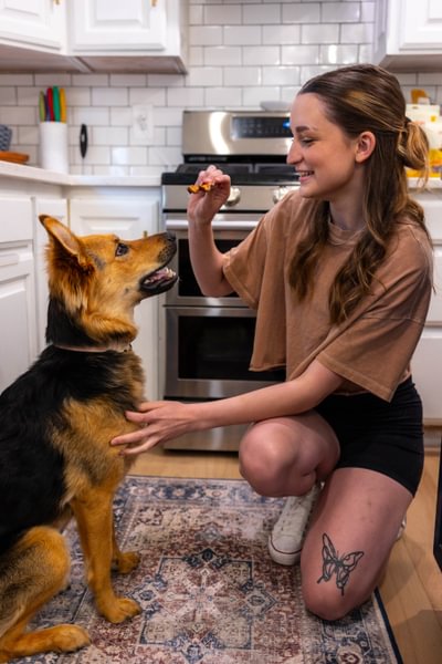Good Dog Food transition