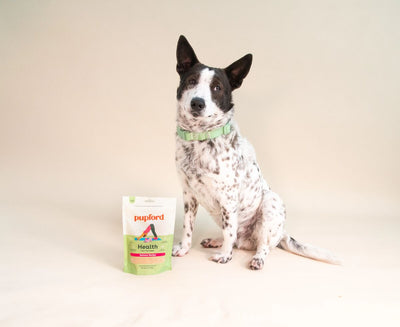 Over the Topper Freeze Dried Salmon Meal Enhancer - Descripción
