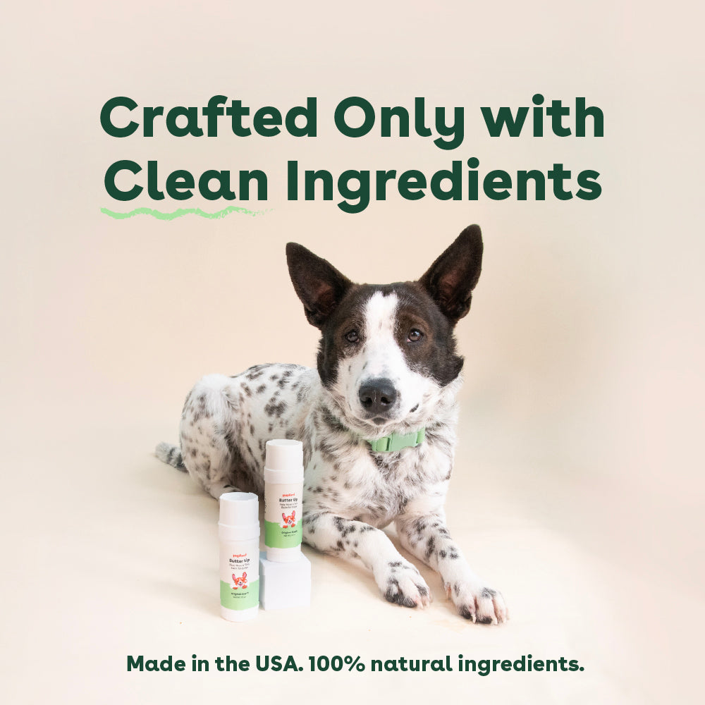 dog next to a tube of butter up paw and nose balm with text saying crafted only with clean ingredients in the usa | Pupford