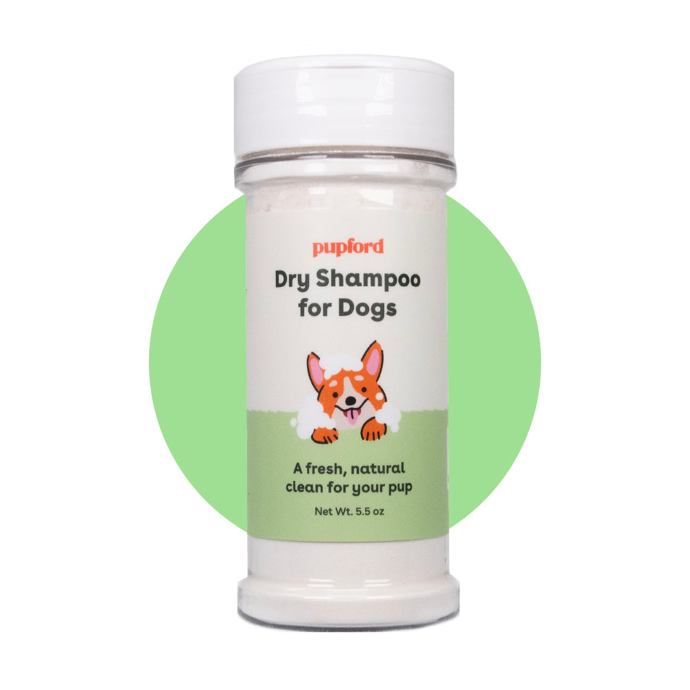 dry shampoo for dogs bottle on green circle background | Pupford