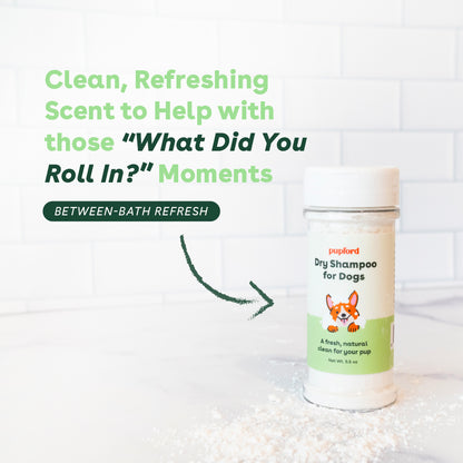 dry shampoo for refreshing a dog's smell and coat between baths | Pupford
