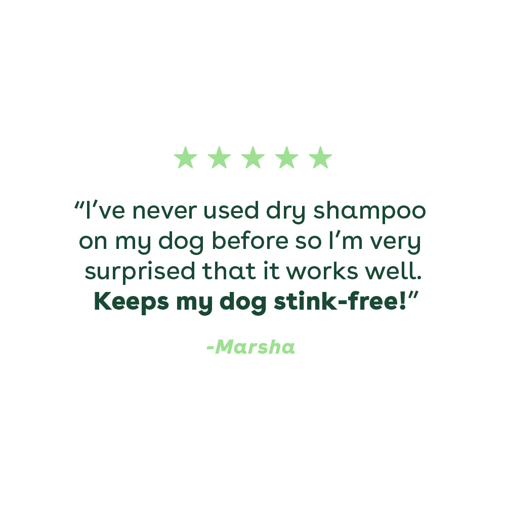 dry shampoo review that mentions keeping a dog stink-free | Pupford