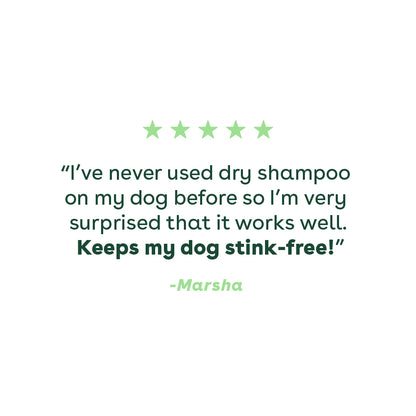 dry shampoo review that mentions keeping a dog stink-free | Pupford