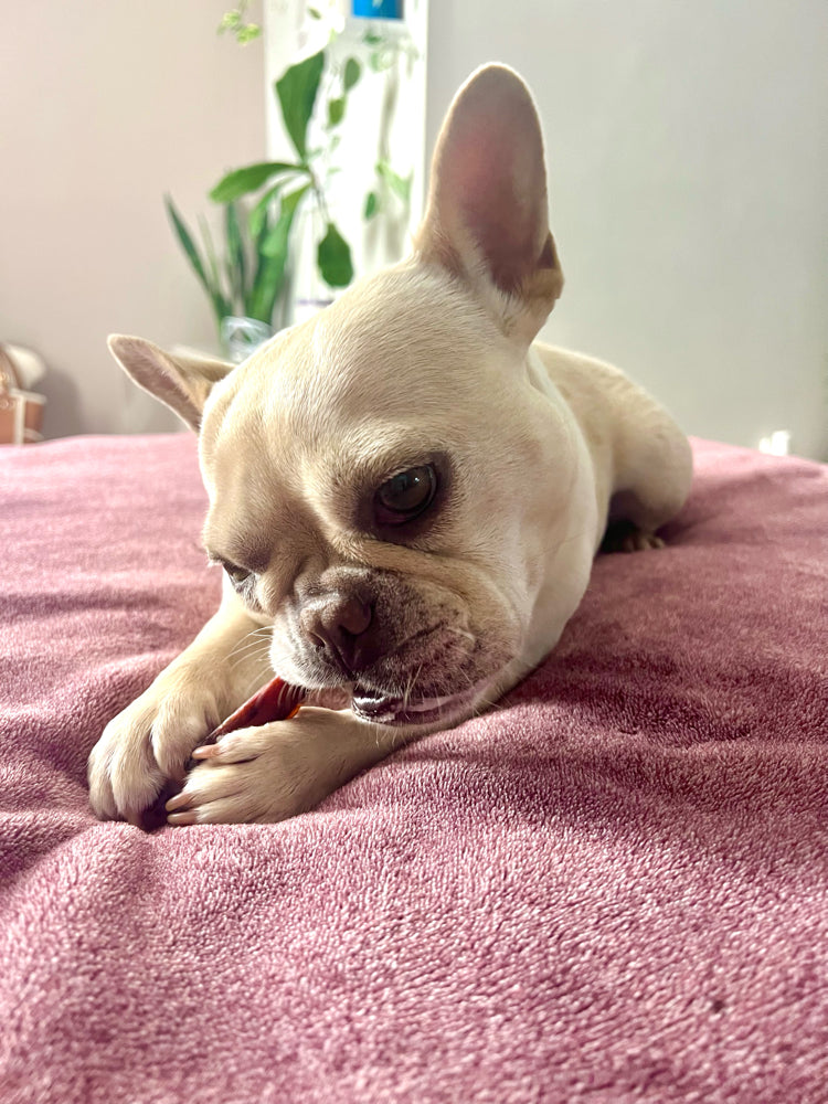 Mini Bully Sticks