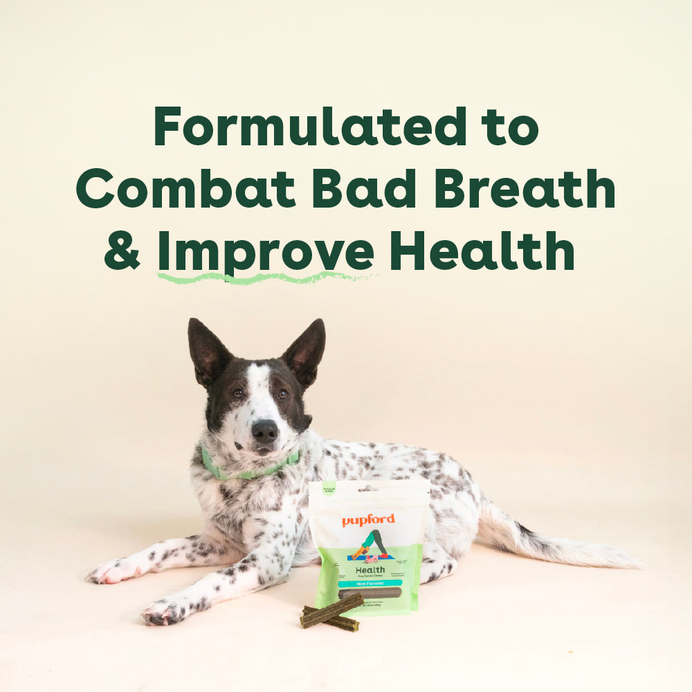 formulated to combat bad breath and improve gut health | Pupford