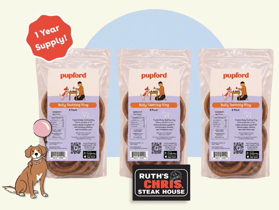 Giveaway prize bundle with dog and gift card