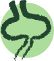 Better Digestion & Smaller Stools