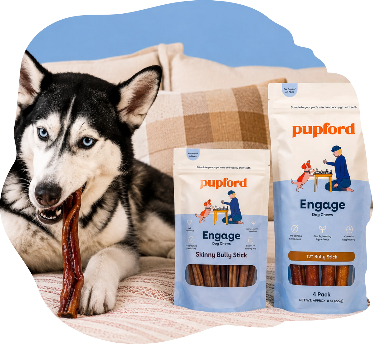 A husky with Pupford Engage Dog Chews
