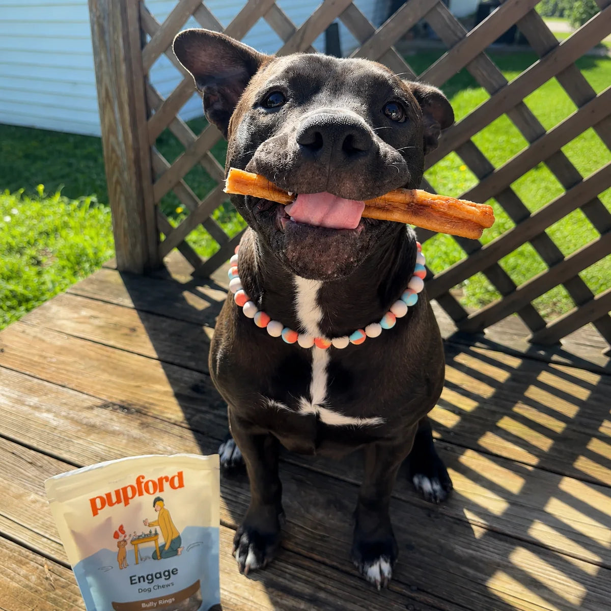 Dogs Love The Taste