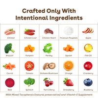 Freeze-Dried Raw Good Dog Food - Chicken Recipe - product image 5