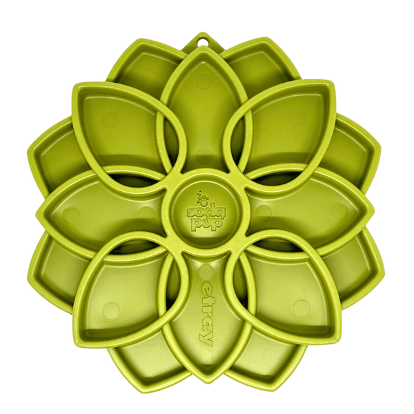 Mandala - Enrichment Slow Feeder