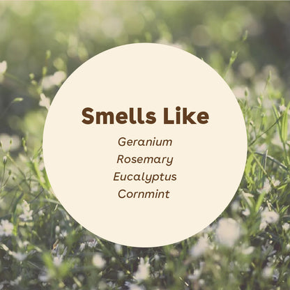 original scent sudsy smells like geranium, rosemary, eucalyptus, and cornmint | Pupford