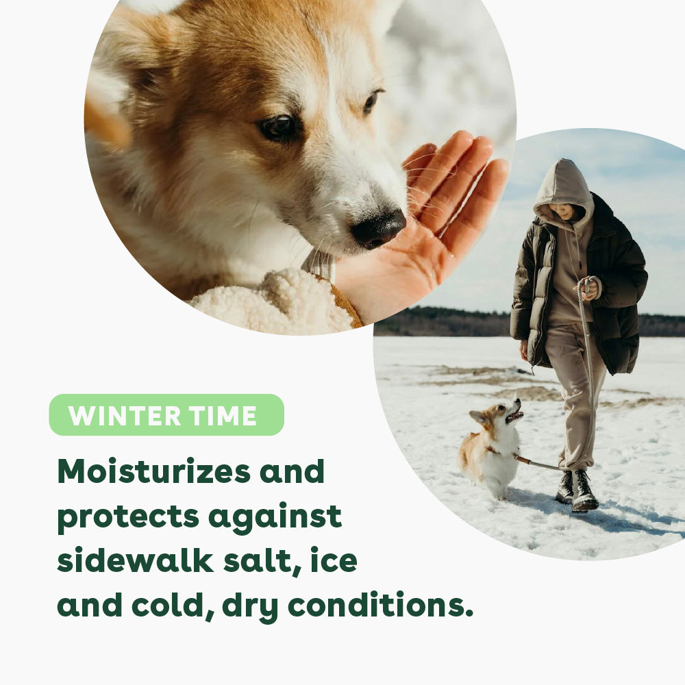 paw balm helps dogs in the winter by moisturizing and protecting against sidewalk salt, ice, and cold, dry conditions | Pupford