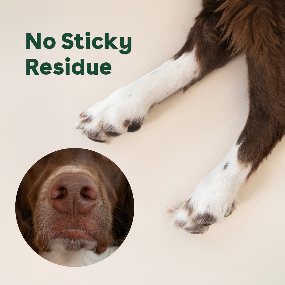 paw butter that doesn't leave a sticky residue on paws or noses | Pupford