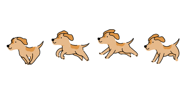 Freeze Dried Chicken Training Treats video header