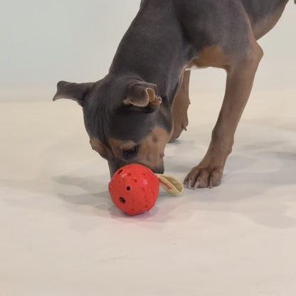 Moonball Treat Dispensing Tumble Toy