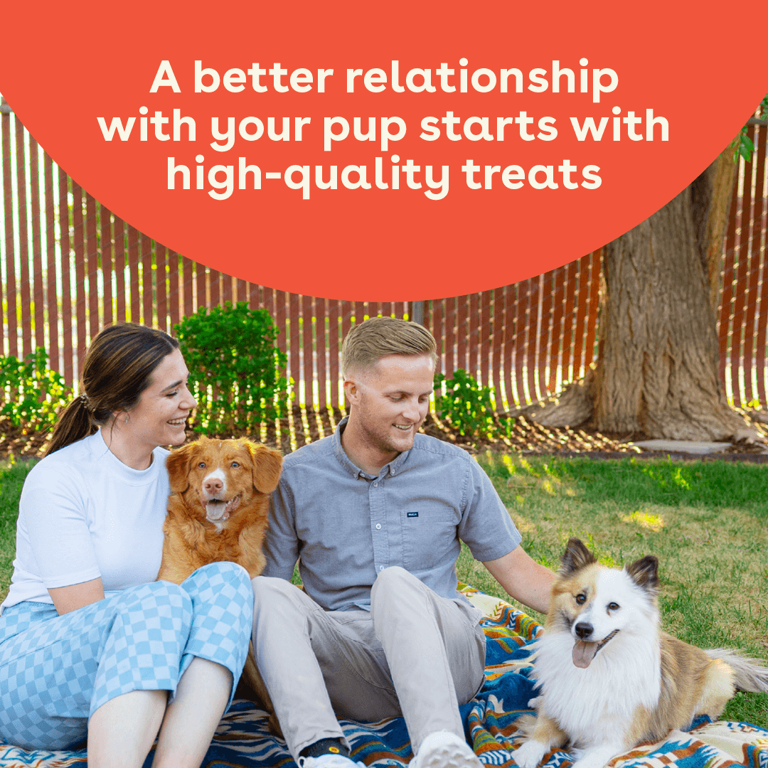 pup parents sitting with their dogs about to give them chicken heart treats and the text a better relationship with your pup starts with high quality treats | Pupford
