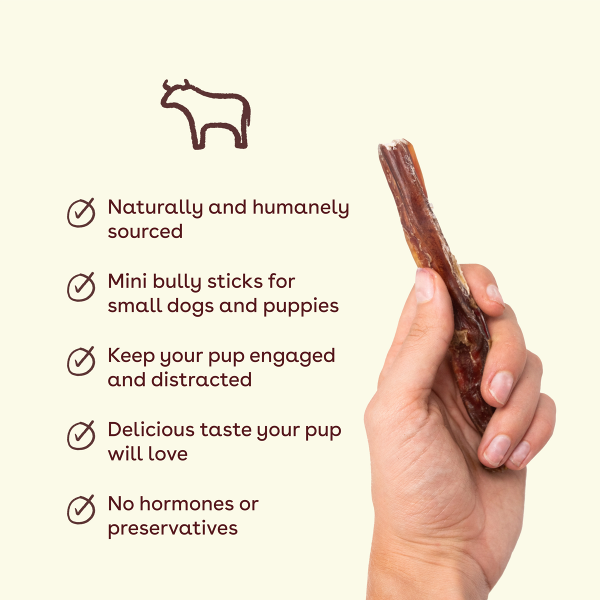 Mini Bully Sticks