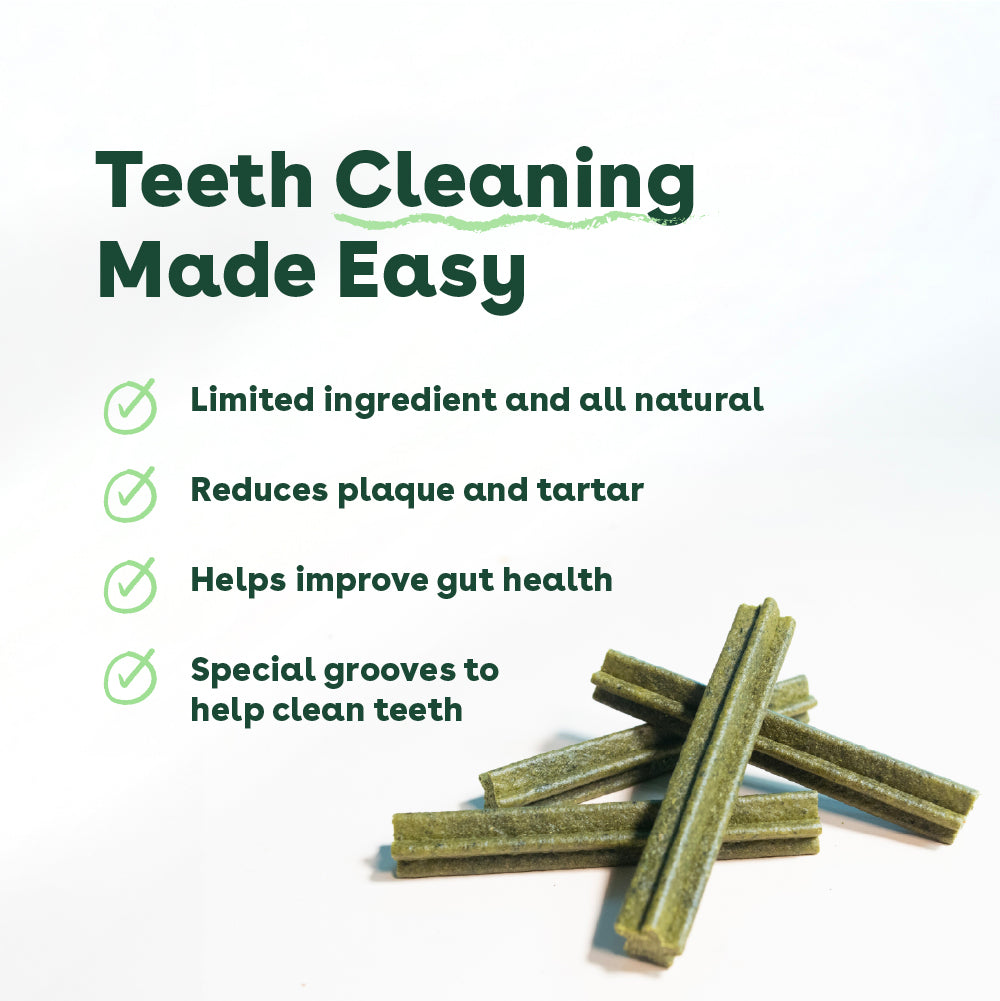 Dental Chews