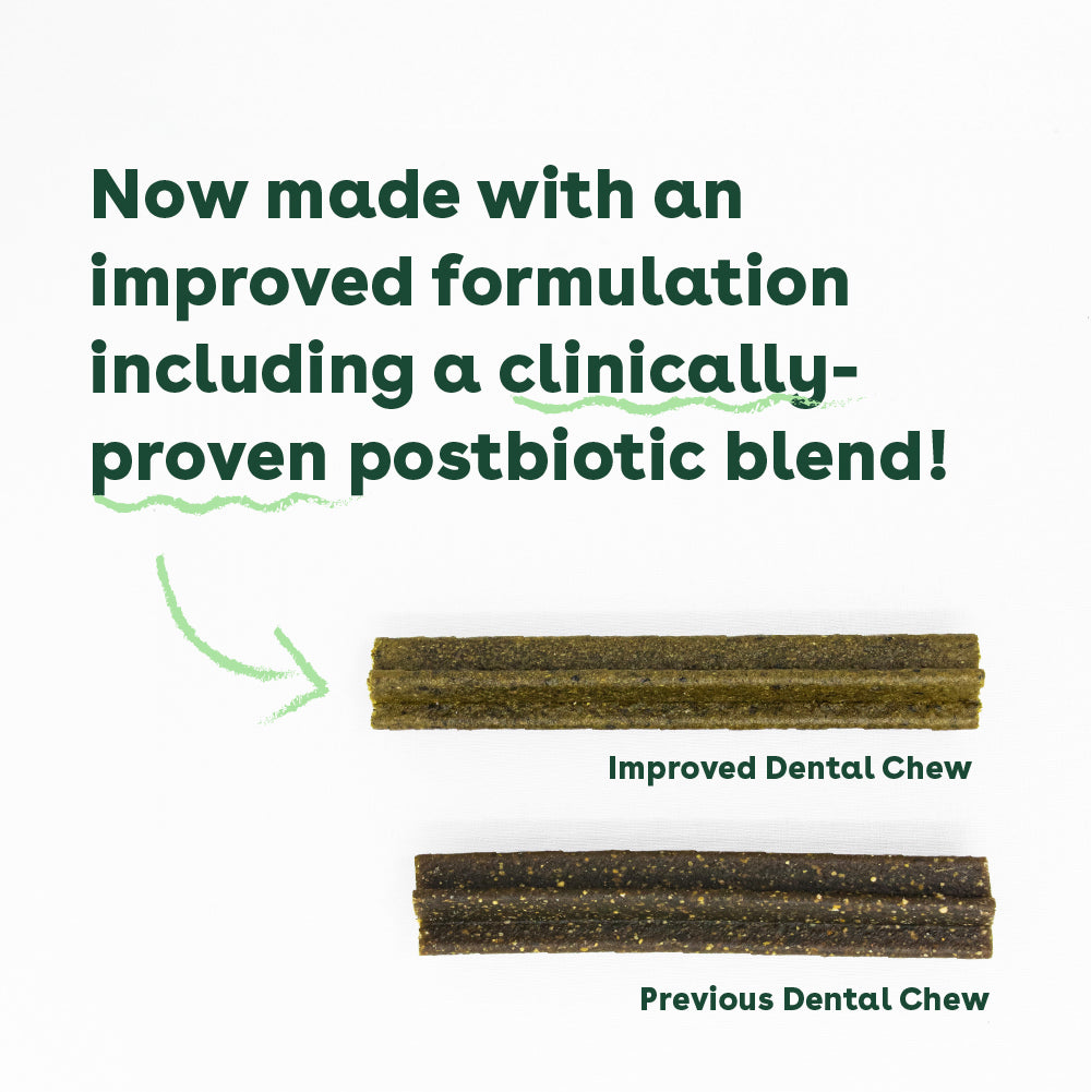 Dental Chews