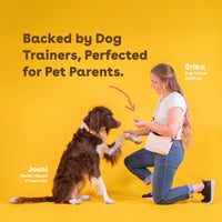 Cheddar Training Treats